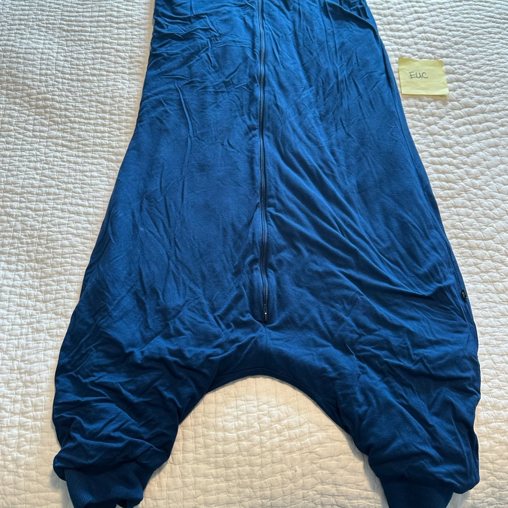 Kyte BABY Tahoe sleep bag walker